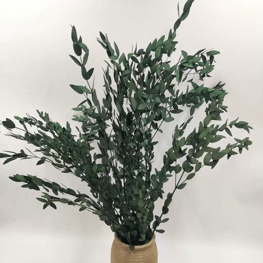 Ecualyptus Fine