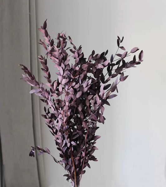 Ecualyptus Fine bordeaux